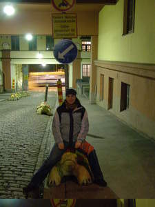 elva - nosi