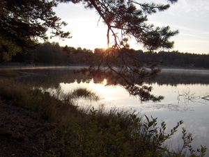Rybnk Zvle